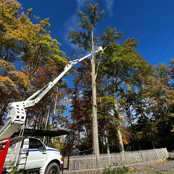 Bucket Truck Services
